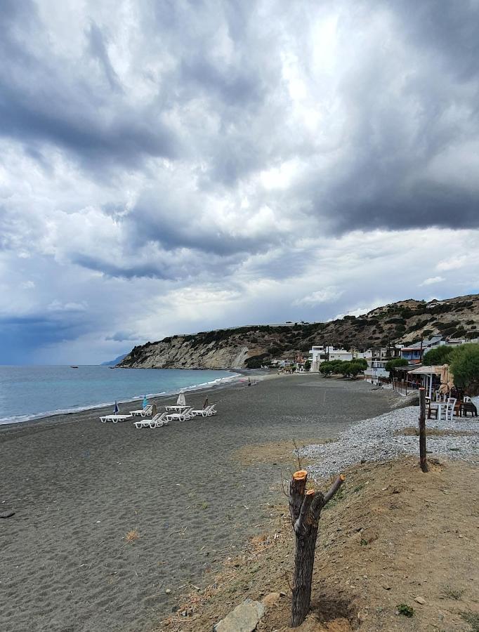 Eirini Apts On The Beach Psari Forada Eksteriør bilde